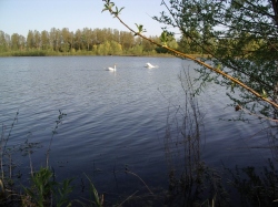 Fédération départementale de pêche de l’Aube