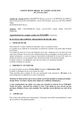 Conseil municipal du 25 février 2010