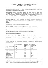 Conseil municipal du 20 juin 2014